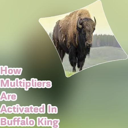 Buffalo king megaways payout